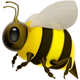 honey bee